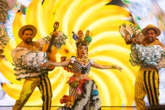 roxy dinner show doto 2 de rafael catarcione