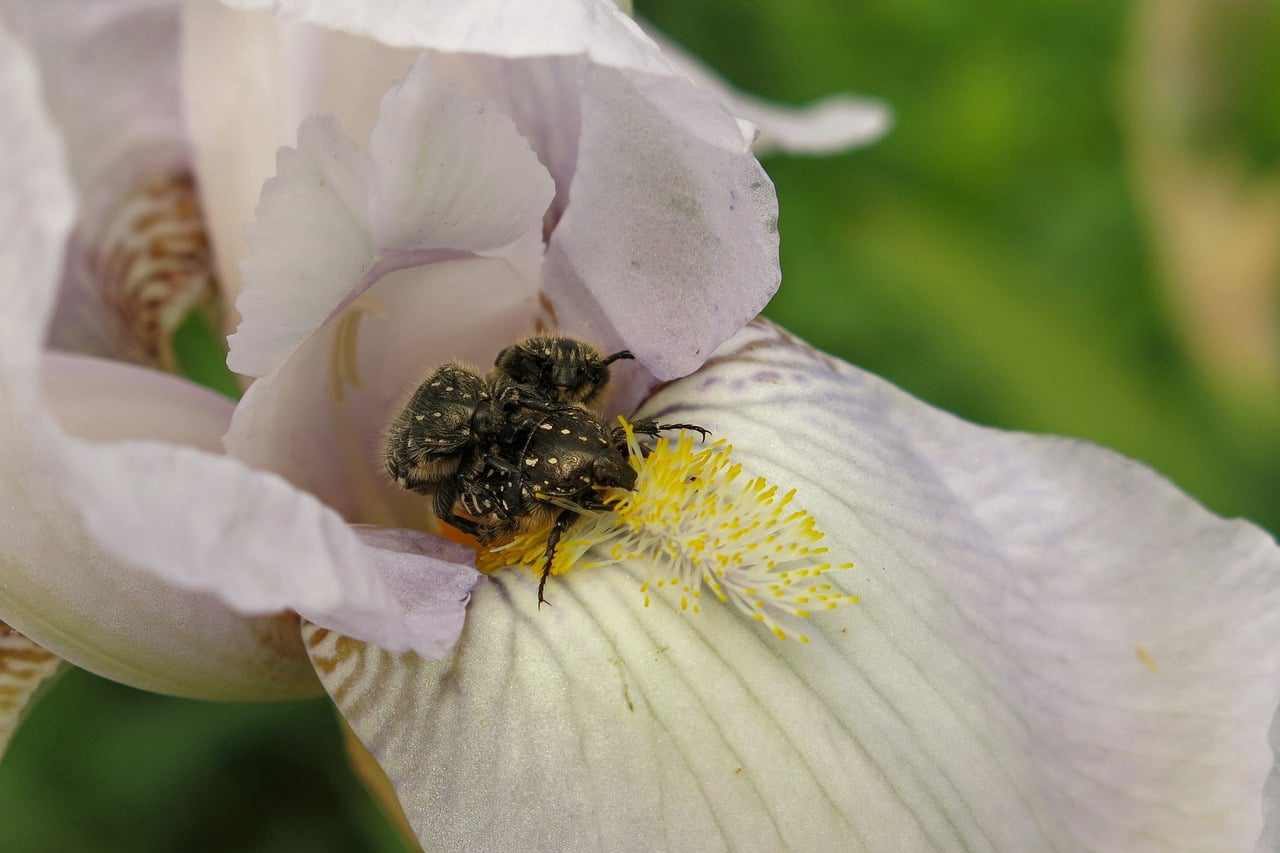 unnamed
